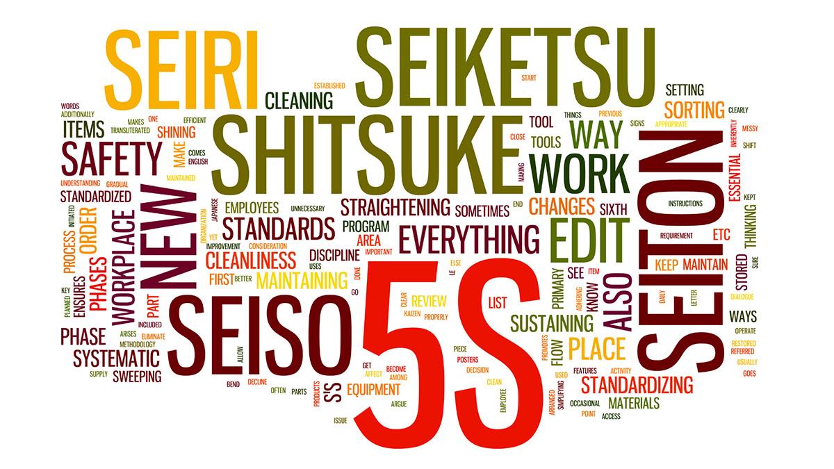 Curs 5S