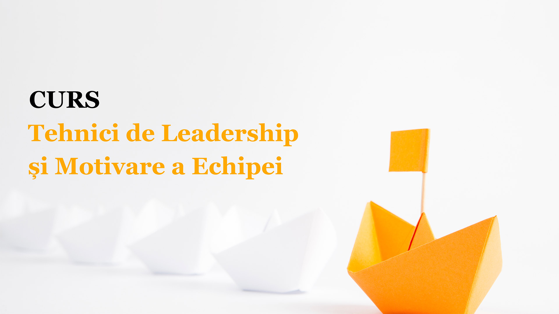 Curs Tehnici de Leadership și Motivare a Echipei